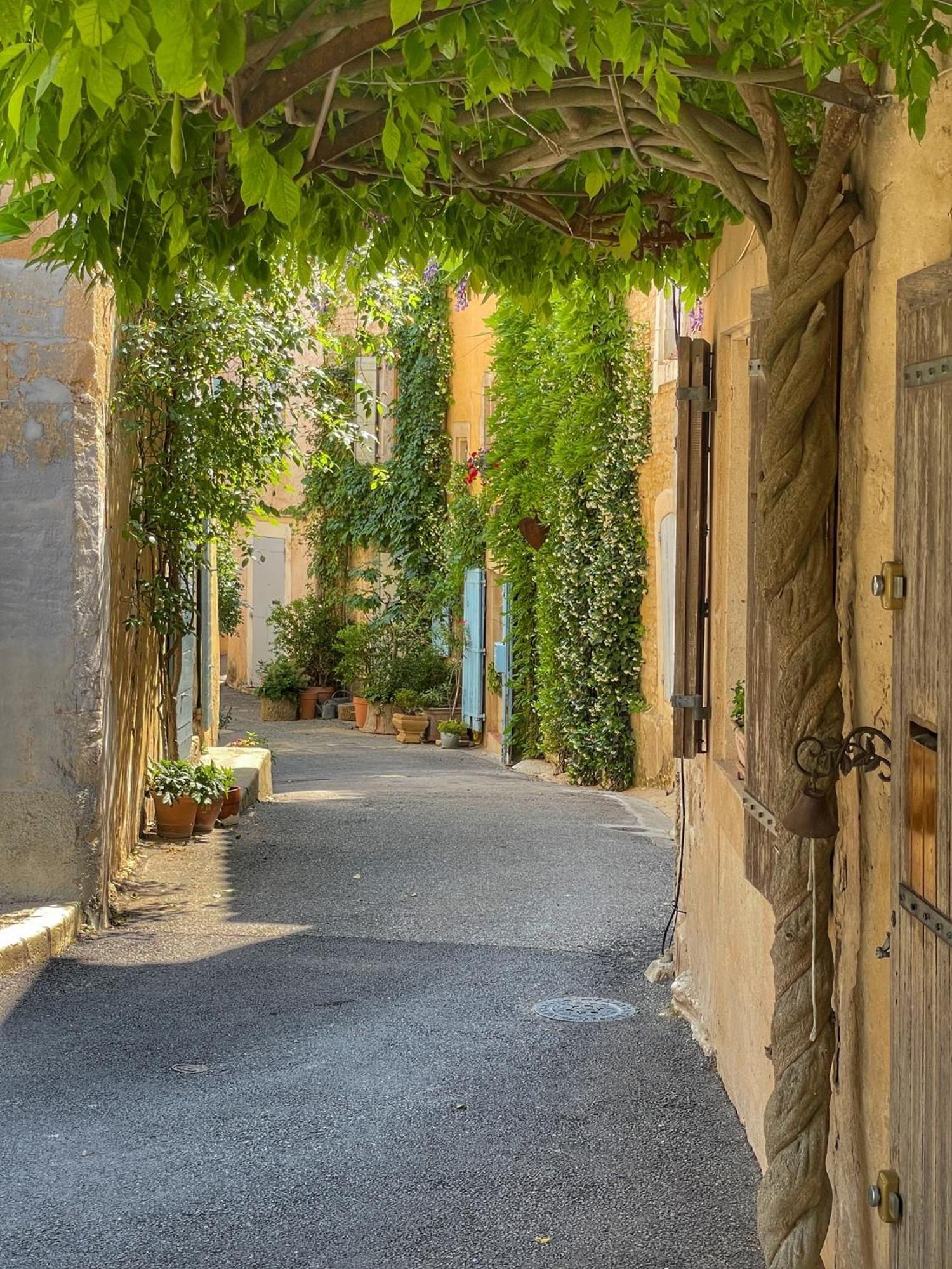 Apartment Le Petit Delphia Apt